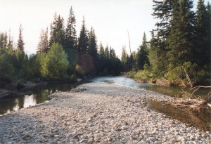 jasper_valemount_2