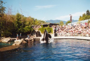 vancouver_acquario