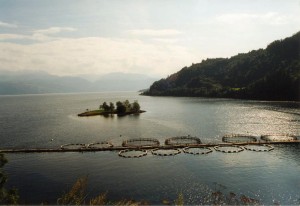 norvegia_bergen_oslo_1