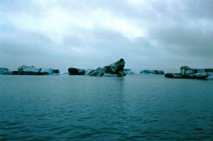 isl2002_3_28_Vatnajokull
