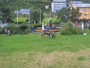 hrt2004_0607_harrmerfest_renne