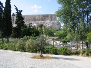 IMG_0066_atene