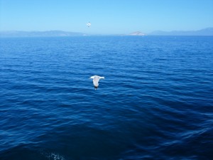 IMG_0098_atene_minicrociera