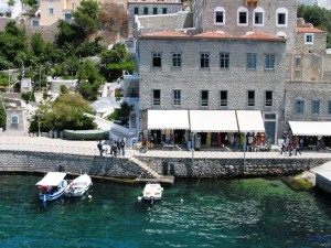 IMG_0112_hydra