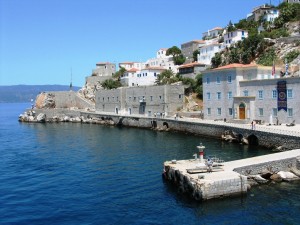 IMG_0113_hydra