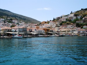 IMG_0114_hydra