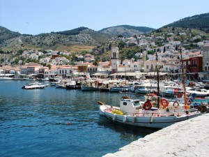 IMG_0119_hydra