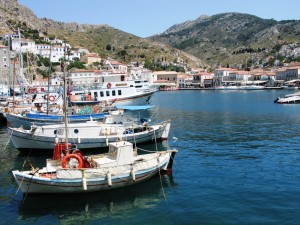 IMG_0120_hydra
