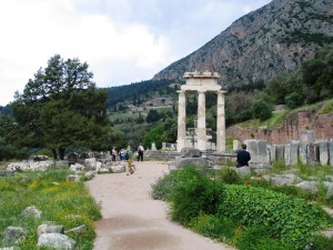 IMG_0181_delphi