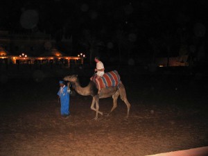 Mar2005_160_marrakech_chez_ali