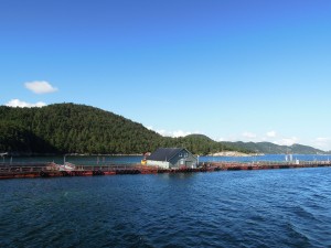 img_114_Stavanger_Lysefjord