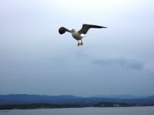 img_258_Oslo