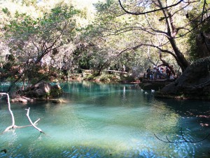 IMG_5022_Alanya_(Kursunlu)