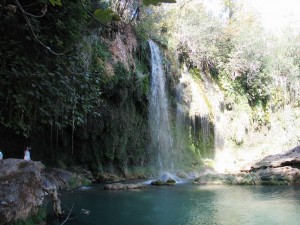 IMG_5023_Alanya_(Kursunlu)