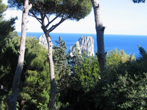IMG_4769_Capri