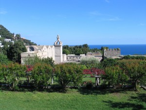 IMG_4772_Capri