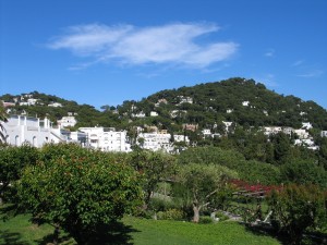 IMG_4773_Capri