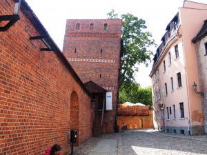 IMG_5264_Torun_(torre_pendente)