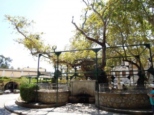 5.Kos_DSCN0229a