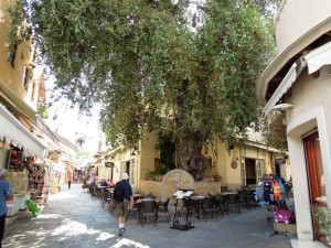5.Kos_DSCN0229b