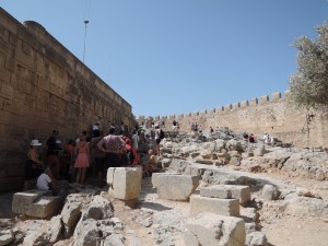 6.Rodi_DSCN0242