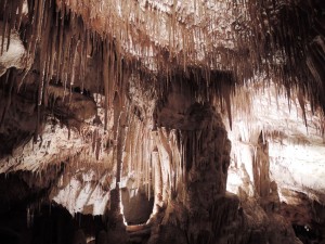 DSCN0806_Palma_(Grotta_del_Drago)