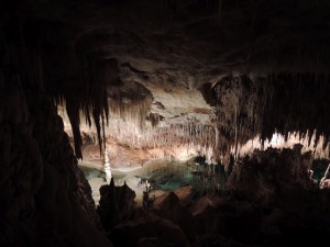 DSCN0809_Palma_(Grotta_del_Drago)