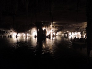 DSCN0810_Palma_(Grotta_del_Drago)