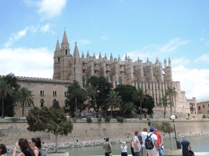 DSCN0811_Palma