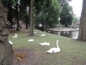 DSCN1104_Bruges