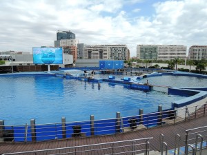 2_Ciudad_de_las_Artes_y_las_Ciencias_DSCN0902