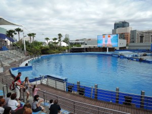 2_Ciudad_de_las_Artes_y_las_Ciencias_DSCN0903