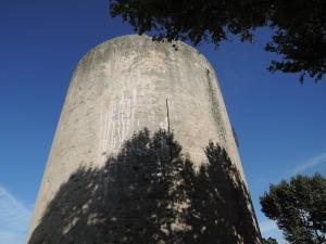 DSCN0277 Aigues mortes