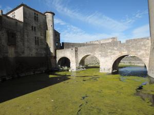 DSCN0278 Aigues mortes